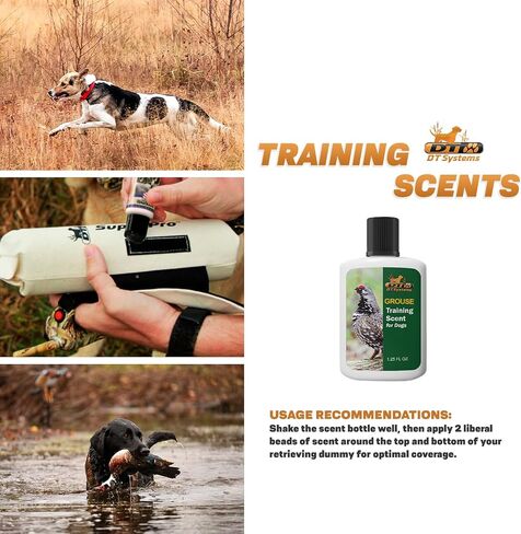 D.T. Systems Training Scent for Pets, 1-1/4-Ounce, Rabbit in Saudi Arabia