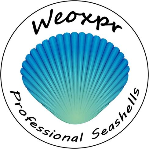 500 قطعة من أصداف البحر الصغيرة المختلطة على شكل محارة شاطئ المحيط لتزيين المنزل، وحفلات الشاطئ، وصناعة الشموع، والحرف اليدوية، وخزان الأسماك وحشو المزهرية (6-8 مم) in Kuwait