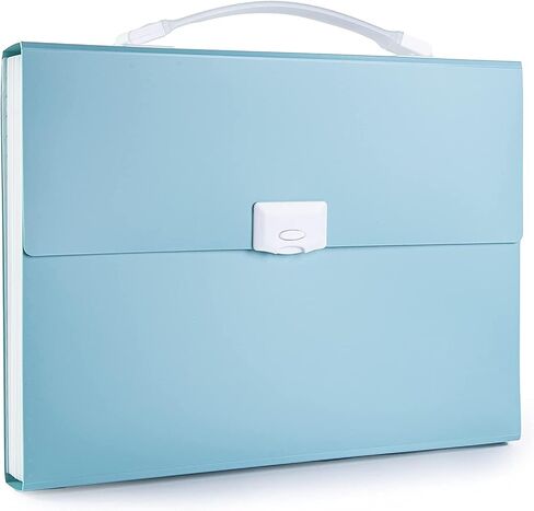 Freude Expanding File Folder - 2 Pcs 13 Pockets Accordion Folder with Handle, A4 Size Document Organizer with Colored Labels for Office Business Study Back to School in Saudi Arabia