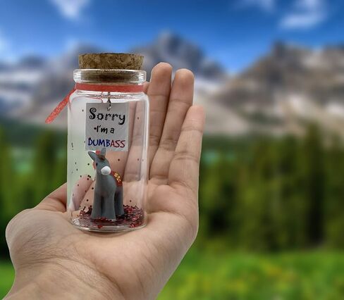 Apology Gift for Her or Him I'm Sorry Funny Gag Gift for Girlfriend or Boyfriend Miniature in a Bottle. Unique (Regretful) in Kuwait