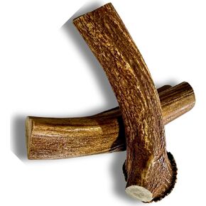 WhiteTail Naturals - Deer Antlers for Large Dogs (2 Pack- Jumbo XXL) All Natural Antler Dog Chew - Naturally Shed, Long Lasting Chew Bone, Crafted in USA