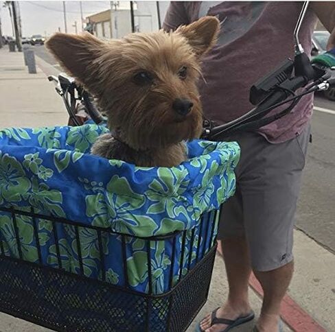 Cruiser Candy Bicycle Basket Liner Tote,Beach Cruiser Basket Cover, EBike Front Wire Or Wicker Bike Basket Fits Up to 15x12x10, Yoga Gym Beach Bag. Weatherproof Bike Bag (Dog PAW) in Saudi Arabia