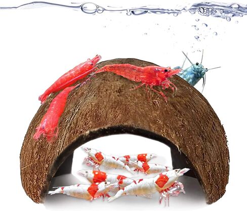 SunGrow Coconut Aquarium Shrimp Cave, Small Fish Tank Aquarium Decorations Accessories, Comfortable Shelter and Breeding Area for Crustaceans, Fish Hideout Aquarium Décor for Spawning in Saudi Arabia