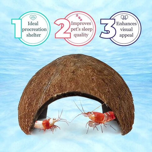 SunGrow Coconut Aquarium Shrimp Cave, Small Fish Tank Aquarium Decorations Accessories, Comfortable Shelter and Breeding Area for Crustaceans, Fish Hideout Aquarium Décor for Spawning in Saudi Arabia