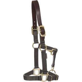 Dover Saddlery DS - رسن من النايلون الثقيل in Kuwait