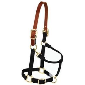 Weaver Leather Nylon Adjustable Breakaway Horse Halter, Large, Navy