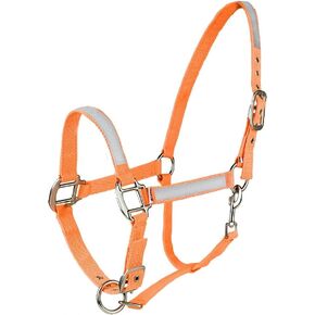 HORZE High-Visibility Adjustable Reflective Horse Halter for Nighttime Horseback Riding