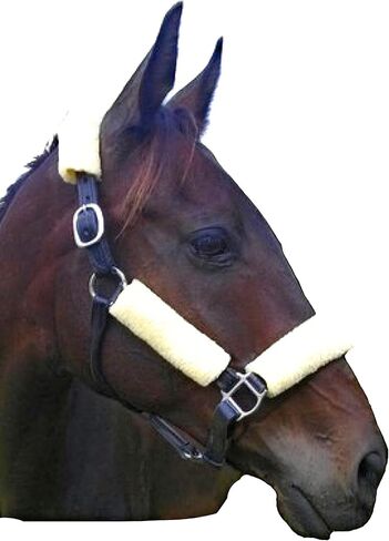 أغطية هالتر من الصوف من JeffersEquine للخيول من الصوف لمجموعة أنبوب الرسن (4 قطع) in Kuwait