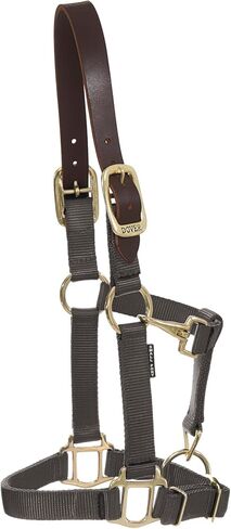 Dover Saddlery DS - Heavy Nylon Breakaway Halter in Saudi Arabia