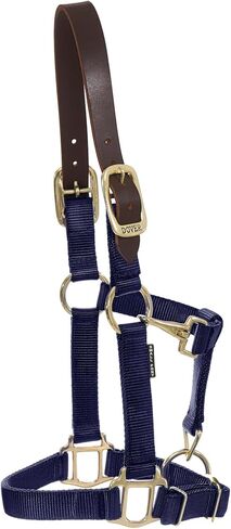 Dover Saddlery DS - Heavy Nylon Breakaway Halter in Saudi Arabia