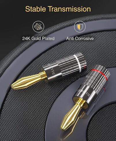 BlueRigger Banana Plugs 12 زوجًا / 24 قطعة (برغي مزدوج مغلق) - 24 حزمة موصل سدادات مكبر صوت مطلية بالذهب لسلك مكبر الصوت، ومكبر الصوت، وجهاز الاستقبال، ولوحة حائط الموز، والمسرح المنزلي in Kuwait