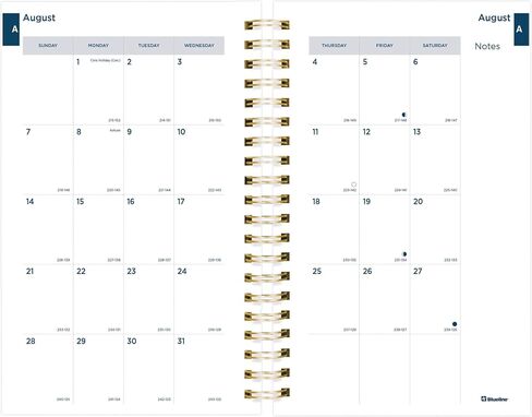 Rediform Blueline Essential Academic Daily/Monthly Planner, August 2022 to July 2023, Gold Twin-Wire Binding, Poly Cover, 8" x 5", Spring Design, Blue (CA214PG.01-23) in Saudi Arabia