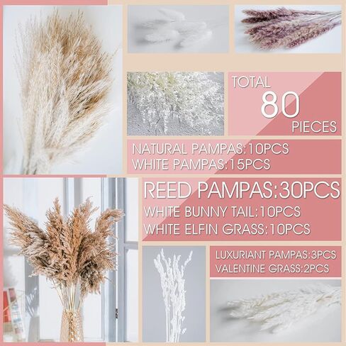 Dried Pampas Grass Decor, Pampas Grass Bunny Tails Dry Flower Reed Grass 80PCS , Pampas Grass Flowers Decoration for Wedding Boho Home, Office, Living Room, Bedroom Farmhouse Party.( Brown White ) in Saudi Arabia