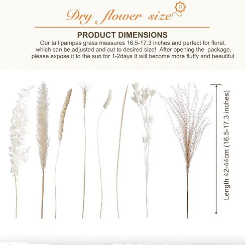 Dried Pampas Grass Decor, Pampas Grass Bunny Tails Dry Flower Reed Grass 80PCS , Pampas Grass Flowers Decoration for Wedding Boho Home, Office, Living Room, Bedroom Farmhouse Party.( Brown White ) in Saudi Arabia