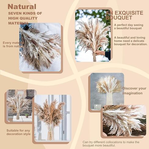 Dried Pampas Grass Decor, Pampas Grass Bunny Tails Dry Flower Reed Grass 80PCS , Pampas Grass Flowers Decoration for Wedding Boho Home, Office, Living Room, Bedroom Farmhouse Party.( Brown White ) in Saudi Arabia