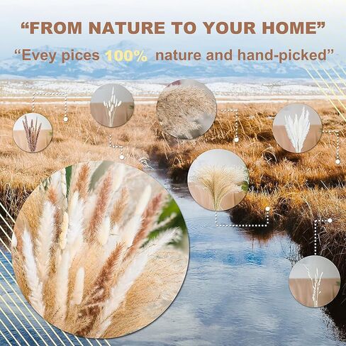 Dried Pampas Grass Decor, Pampas Grass Bunny Tails Dry Flower Reed Grass 80PCS , Pampas Grass Flowers Decoration for Wedding Boho Home, Office, Living Room, Bedroom Farmhouse Party.( Brown White ) in Saudi Arabia