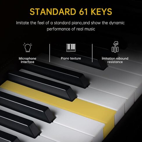 61 Key Keyboard Piano Electric Keyboard Kit Lighted Keys With LCD Display, Microphone, Power Supply, Audio Cable, Piano Key Stickers, Black in Saudi Arabia