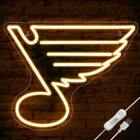 Ice Hockey Neon Sign,Dallas Hockey Team,Hockey LED Sign,Sport Neon Lights,Hockey Light, Hockey Club Decor,Hockey Gifts for Boys,Man,Hockey Fans,Size 16.5 * 14.2 inches(XD103) in Saudi Arabia