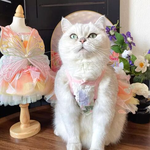 Cat Pretty Fairy Costume Clothing - Pet Cute Dress Outfit for Halloween Christmas Festival Cosplay Party (Small) in Saudi Arabia