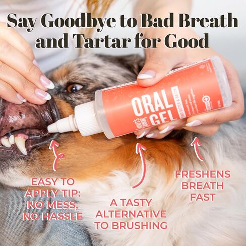 SKOUT'S HONOR: Advanced Dental Drops for Dogs & Cats 4oz in Saudi Arabia