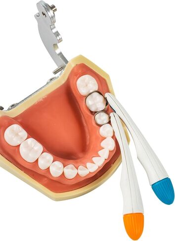 10pcs Dental Matrix Bands by HARMONYDENT,Matrix Profect for Teeth Restoration,Adjustable System, Blue, 6mm Standard for Molars in Saudi Arabia