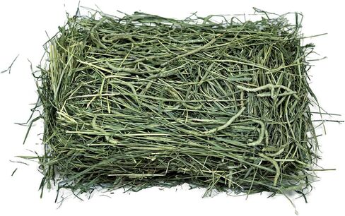 Viking Farmer 1st Cut Timothy Hay, 3 lbs in Saudi Arabia