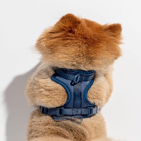 Wild One Harness 2.0 - صغير جدًا - أحمر الخدود in Kuwait