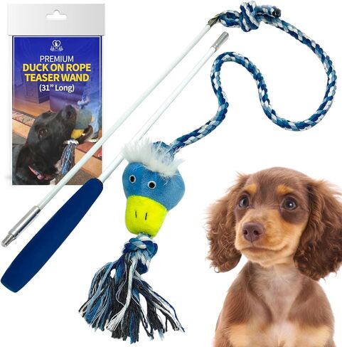 Pet Fit For Life Wand Toy for Dogs - Extra Long 31" Pole with Plush Alligator Squeaky Toy, Soft Foam Handle for Tug of War and Interactive Fun & Exercise in Kuwait