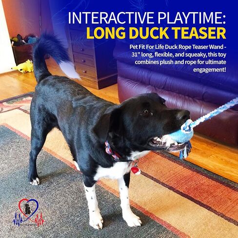 Pet Fit For Life Wand Toy for Dogs - Extra Long 31" Pole with Plush Alligator Squeaky Toy, Soft Foam Handle for Tug of War and Interactive Fun & Exercise in Kuwait