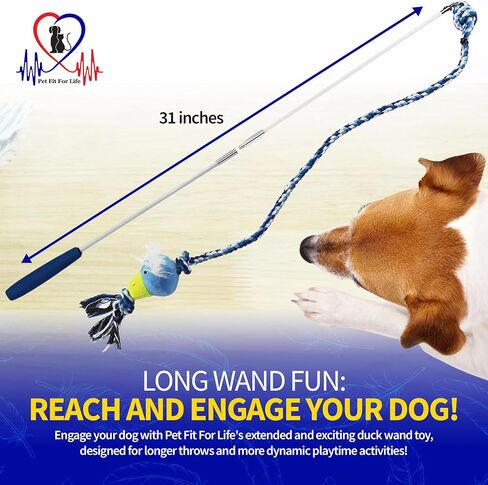 Pet Fit For Life Wand Toy for Dogs - Extra Long 31" Pole with Plush Alligator Squeaky Toy, Soft Foam Handle for Tug of War and Interactive Fun & Exercise in Kuwait