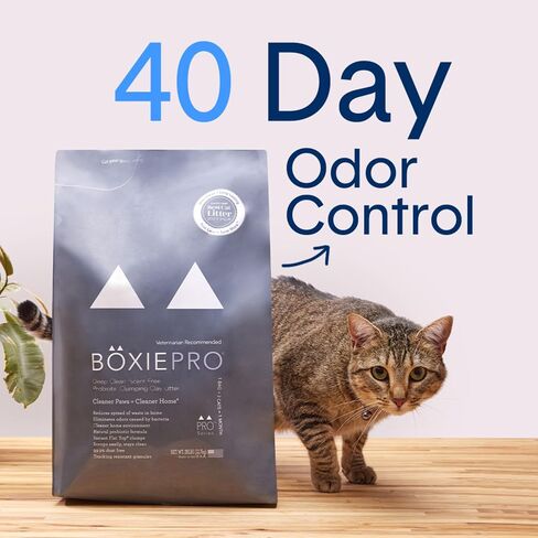 Boxie® Glo™ Natural Attractions™ 30 Day Odor Control UV Cat Litter, 28lb Clumping Clay Kitty Litter in Kuwait