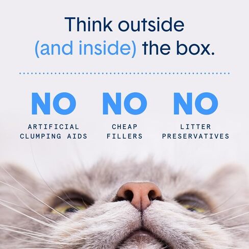 Boxie® Glo™ Natural Attractions™ 30 Day Odor Control UV Cat Litter, 28lb Clumping Clay Kitty Litter in Kuwait