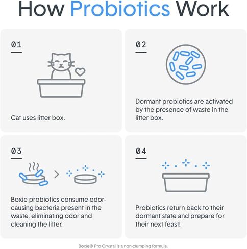 Boxie® Glo™ Natural Attractions™ 30 Day Odor Control UV Cat Litter, 28lb Clumping Clay Kitty Litter in Kuwait