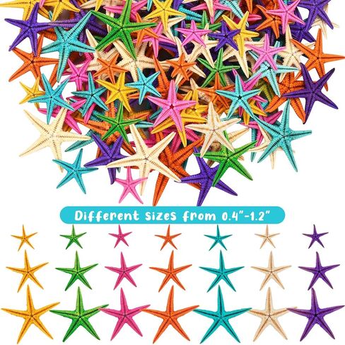 100 قطعة من نجم البحر الصغير من ZAUGONTW، 7 ألوان نجم البحر الصغير المسطح، ديكور ملون DIY نجم البحر الصغير صدف البحر هدية لحفلات الزفاف على الشاطئ in Kuwait