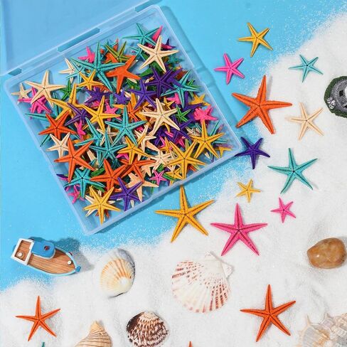 100 قطعة من نجم البحر الصغير من ZAUGONTW، 7 ألوان نجم البحر الصغير المسطح، ديكور ملون DIY نجم البحر الصغير صدف البحر هدية لحفلات الزفاف على الشاطئ in Kuwait