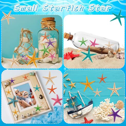 100 قطعة من نجم البحر الصغير من ZAUGONTW، 7 ألوان نجم البحر الصغير المسطح، ديكور ملون DIY نجم البحر الصغير صدف البحر هدية لحفلات الزفاف على الشاطئ in Kuwait