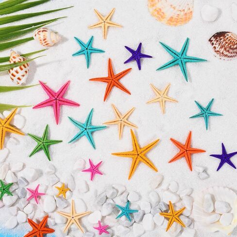 100 قطعة من نجم البحر الصغير من ZAUGONTW، 7 ألوان نجم البحر الصغير المسطح، ديكور ملون DIY نجم البحر الصغير صدف البحر هدية لحفلات الزفاف على الشاطئ in Kuwait