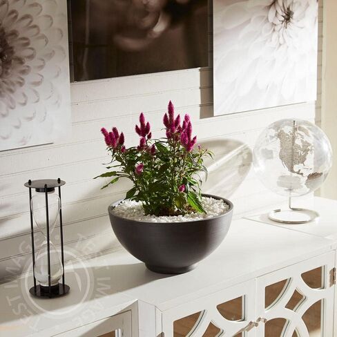 Mosser Lee ML2181H ML2181 River Pebbles, 5 lb in Kuwait