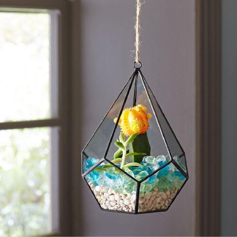 Mosser Lee ML2181H ML2181 River Pebbles, 5 lb in Kuwait