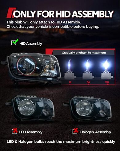 Torchbeam D1S D1R Xenon HID Headlight Bulbs, 35W 7600LM Bright 8000K Ice Blue, High Low Beam Replacement Bulb, Pack of 2 in Saudi Arabia