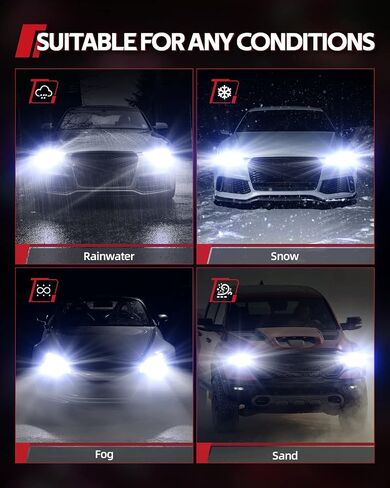 Torchbeam D1S D1R Xenon HID Headlight Bulbs, 35W 7600LM Bright 8000K Ice Blue, High Low Beam Replacement Bulb, Pack of 2 in Saudi Arabia