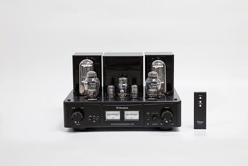 Willsenton R800i 300B 805 أنبوب أحادي الطرف من الفئة A مضخم صوت ومضخم طاقة مدمج مع مدخل XLR متوازن in Kuwait