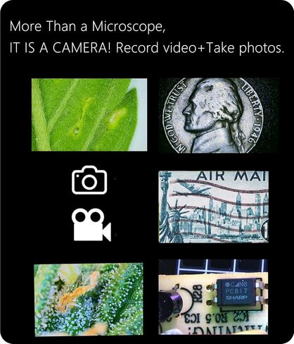 Digital Microscope Wireless Pocket Handheld USB Microscopes, 50x-1000x Zoom Fixed Focus HD Magnifier with LEDs, Inspection Camera Compatible with iPhone, Android Phone, MacBook, Windows PC (Black) in Saudi Arabia