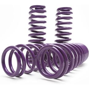 D2 PRO Lowering Springs 1.8"F/2.0"R For 2011+ Charger / 300C RWD