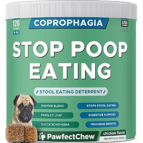 Pet Probiotics for Dogs & Digestive Enzymes for Dogs | Gut Health & Digestive Function Support | Pumpkin & Omega | Prebiotic Supplement Chews