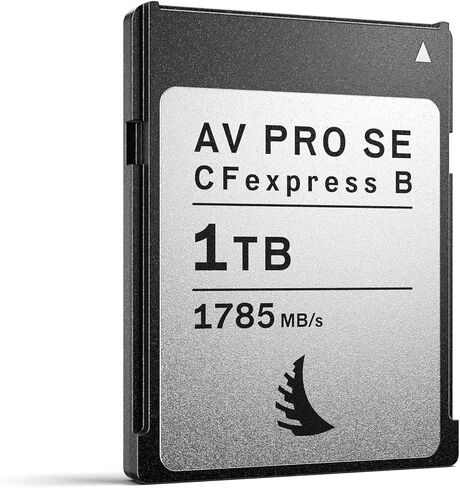 Angelbird - AV PRO CFexpress B SE - 1 تيرابايت - بطاقة ذاكرة CFexpress Type B - سعة شاملة - لإنتاج محتوى الفيديو والصور المتقدم - ما يصل إلى 12K+ RAW in Kuwait