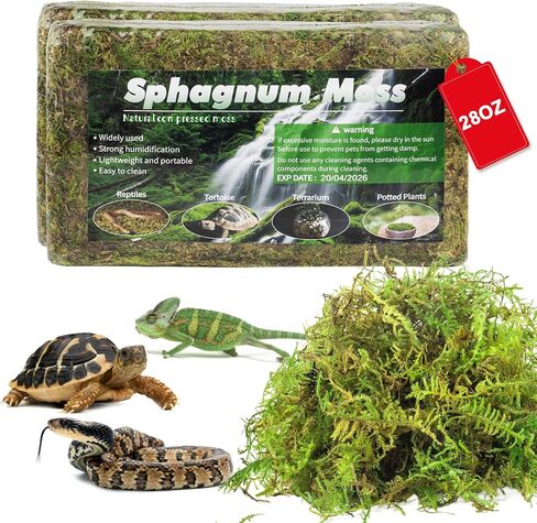 100QT Premium Sphagnum Moss for Reptiles- 28OZ Natural Moss Reptile Moss Bedding for Terrarium, Hatching, Forest Sphagnum Moss Reptile Substrate for Snakes, Gecko, Turtles, Frogs, Leopard in Saudi Arabia