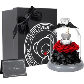 Valentines Day Gifts for Her,Birthday Gifts for Women,Preserved Flower Rose Bear Gift,Birthday,Valentine's Day Gift for Mom Wife Girlfriend Grandma (Cupid in Glass Dome(（Red）)