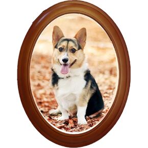 Oval Picture Frames,Classic Oval Wood Picture Frame Wooden Wall Hanging Picture Frames for Home Office Wall Décor(Black,10 inch) in Kuwait