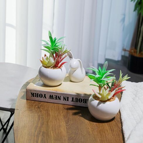 Artificial Succulent Plants in Pots,Small Faux Colorful Succulents Plants for Bathroom Home Office Living Room Table Decor Indoor Outdoor in Saudi Arabia